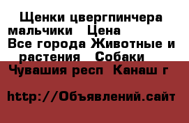 Щенки цвергпинчера мальчики › Цена ­ 25 000 - Все города Животные и растения » Собаки   . Чувашия респ.,Канаш г.